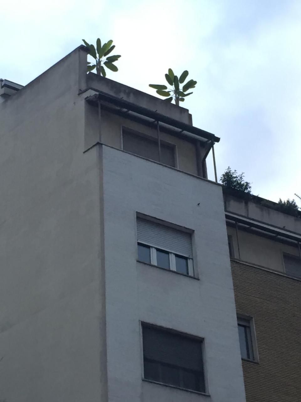 Apartment Attico Lux